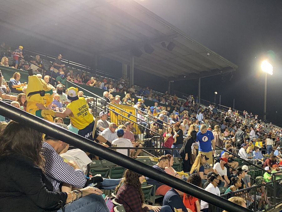 Des supporters des Savannah Bananas en jaune remplissent les tribunes lors d’un match en nocturne, avec la mascotte banane de l’équipe dans la foule